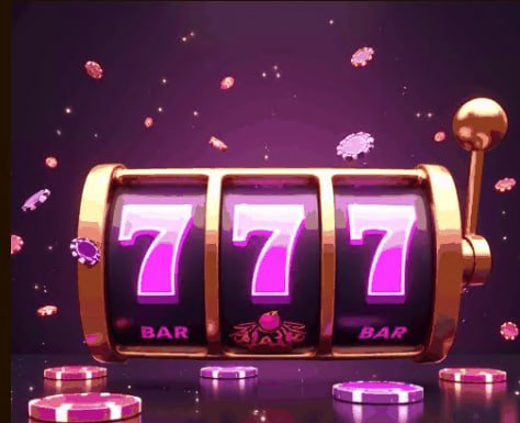 popbra bet